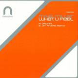 Mike Miller - What U Feel