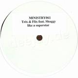 Trix & Flix Feat. Shaggy - Like A Superstar