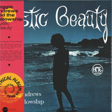 REGGIE ANDREWS and THE FELLOWSHIP - Mystic Beauty