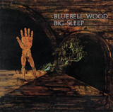 Big Sleep - Bluebell Wood