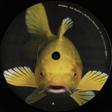 Avidel - Entre Miradas