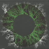 Dom & Roland - Cold Summer / Full Moon