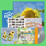 The Beths - Expert In A Dying Field LP