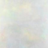 Variant - The Setting Sun 2x12"