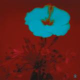 John Beltran - Sunrise And The Way We Live (LP 2x12")