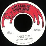 Let Your Hair Down - Pingu's Anthem / Gronk (7")