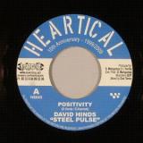 Steel Pulse, David Hinds, Basque Dub Foundation - Positivity / Midnight Organ