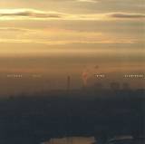 In Aeternam Vale - Pink Flamingos