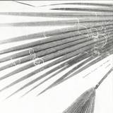 Masayoshi Fujita & Jan Jelinek - Schaum