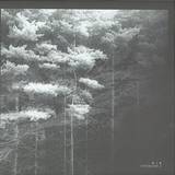 Various - Voiceless Z