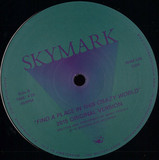 Skymark - Find A Place In This Crazy World