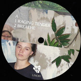 Grebenstein & Seefried - Raging Tender