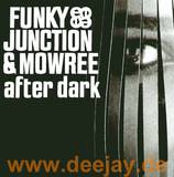 Funky Junction & Mowree - After Dark