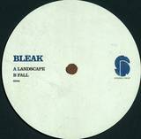Bleak - Landscape / Fall