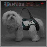 Santos - Domestic Animals *1*