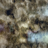 Rat Porridge - Live from the Plant