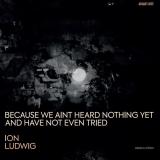 Ion Ludwig - Because We Aint Heard Nothing Yet And Have Not Even Tried 3x12"