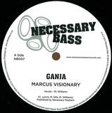 Marcus Visionary, Mr Williamz - Ganja