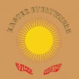 The 13th Floor Elevators - Easter Everywhere (2x12")