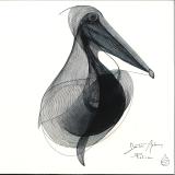 DIMITRI ANDREAS - PELICAN LP 2x12"