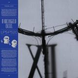 D'Arcangelo - Eksel (2x12")
