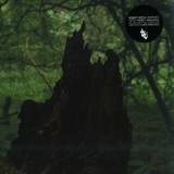 Robot Koch - Unpaved