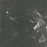 Valerio Tricoli - Miseri Lares