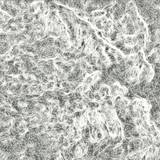 Beatbully & Fitzroy North - Blais Ep