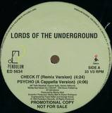 Lords Of The Underground - Check It-remix Version