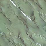 Alex Cortex - Unshell