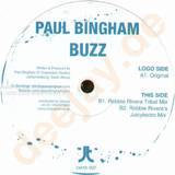 Paul Bingham - Buzz