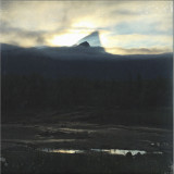 VERA DVALE - Garden of Feelings