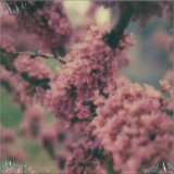 ZAKE / MARINE EYES - Unfailing Love