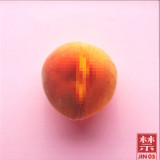 ROMAIN FX - JIN 05 EP