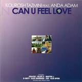 Kourosh Tazmini Feat. Anda Adam - Can U Feel Love