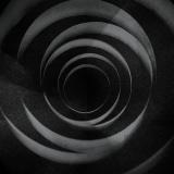 Cult of Luna - In the Shadow of Your Shadow LP 2x12"