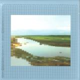 Shine Grooves - Pyshma