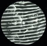 Third Child - Unstable Inside E.p.