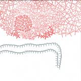 Baleine 3000 - The Nap