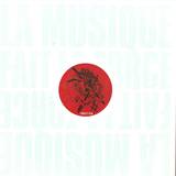 Solid Sounds Sampler - Lmflf *16* Jürgen Paape