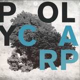 Various - Poly V.a.