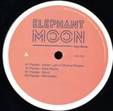 Plantae - Easy Waves