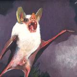 Ninos Du Brasil - Vida Eterna