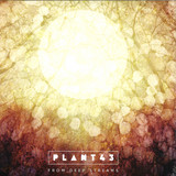 Plant43 - From Deep Streams
