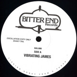Bitter End - Vibrating James / The House