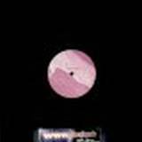 Elektric Suedehead - Micklefield Skyline