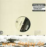Ronald Van Gelderen - Crying Out