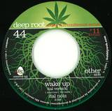 Abassi All Stars & Ital Noiz - Wake Up