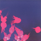 Mall Grab & Nite Fleit - Moogie EP