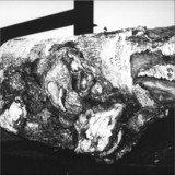 Gardens Of God - Zero One